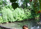 IMG 0699