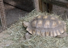IMG 0702