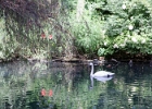 IMG 0734