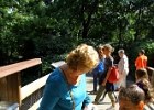IMG 0744