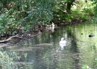 IMG 0745