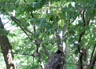 IMG 0753