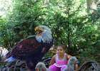 IMG 0754