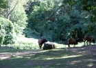 IMG 0756