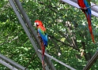 IMG 0758