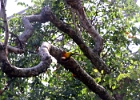IMG 0762