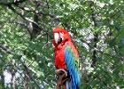 IMG 0766