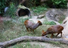 IMG 0800