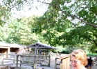 IMG 0872