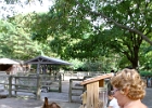 IMG 0876