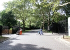 IMG 0919