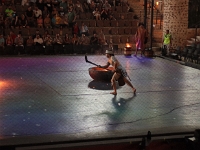 IMG 19311