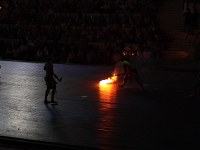 IMG 19461